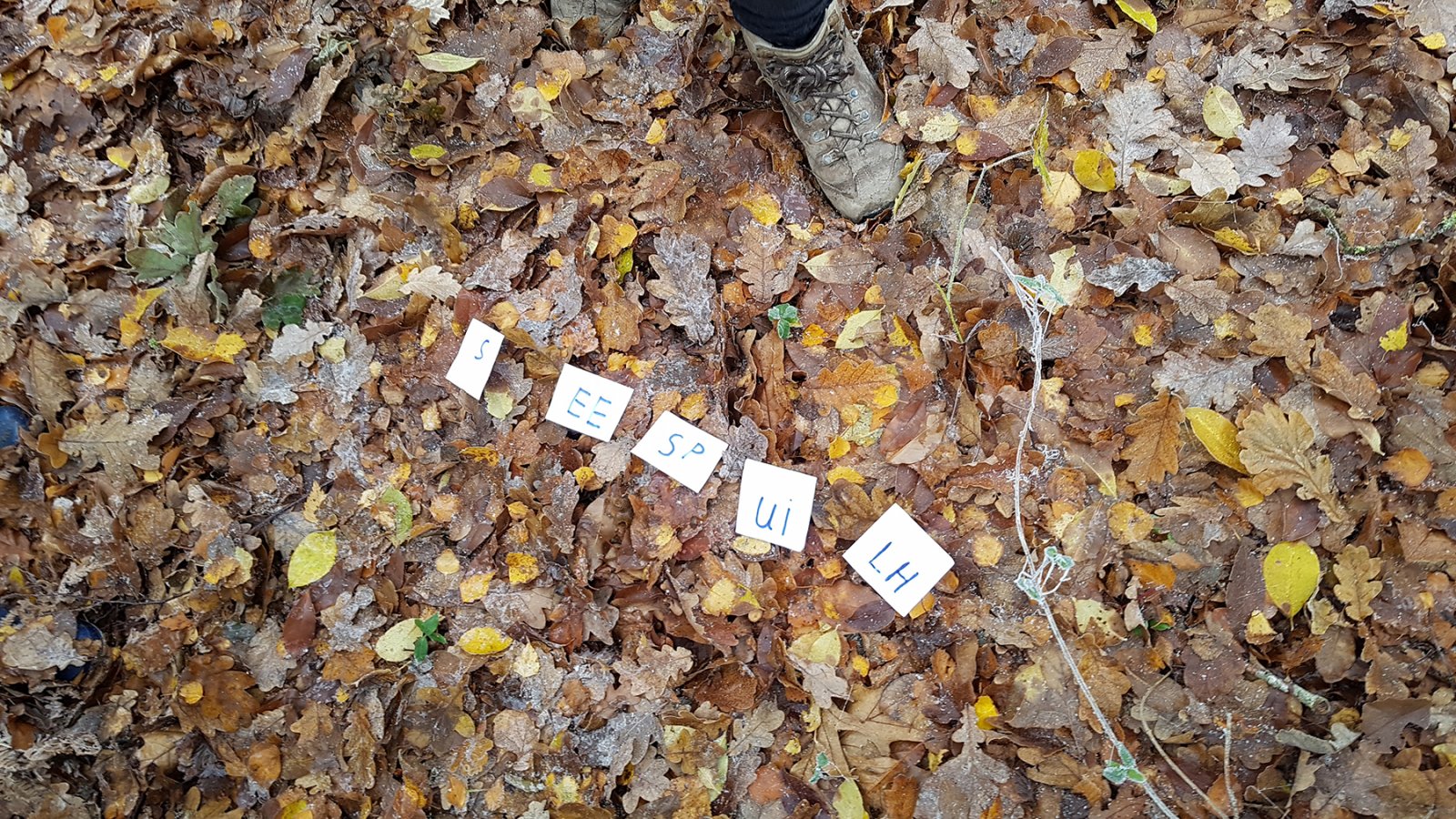20171202 110634