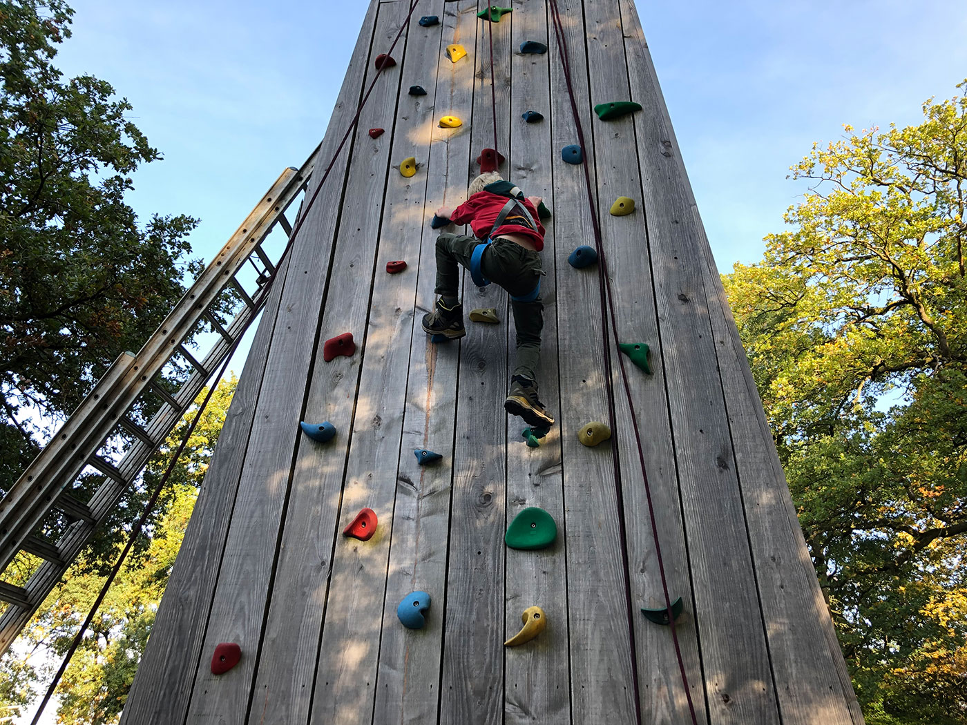 IMG 6575