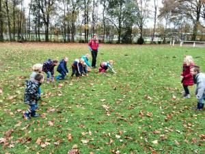 IMG-20151118-WA0014[1]