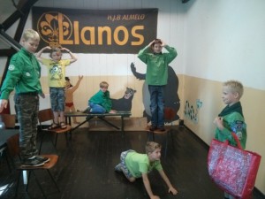 IMG_20150822_102651 (Medium)