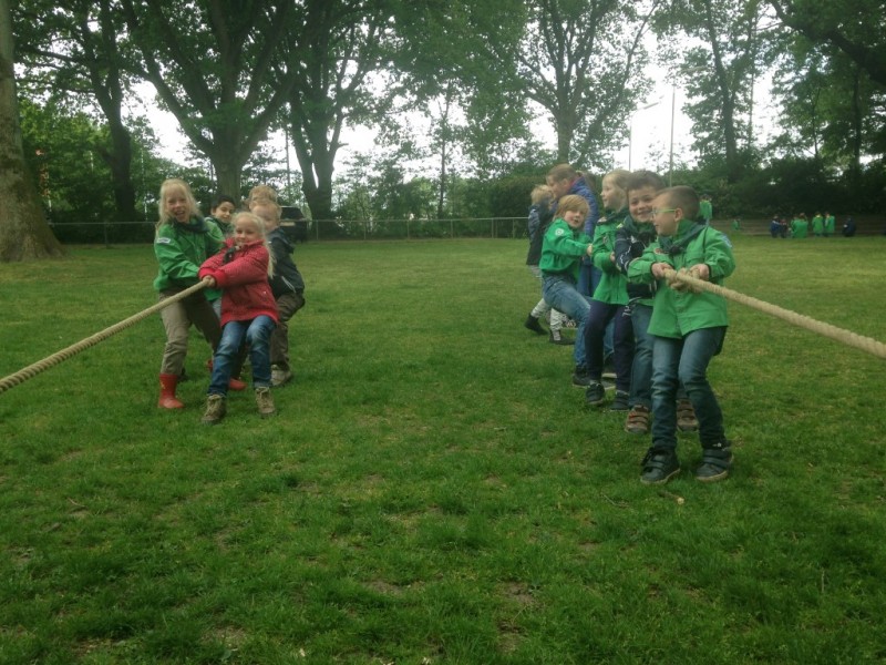 Foto 14-05-16 10 03 56 (Medium)