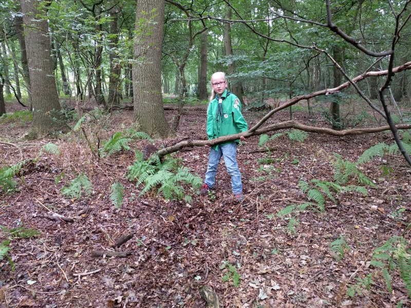 IMG_20160903_104704 (Custom)