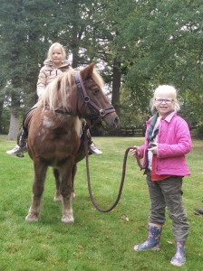HJB Llanos - Bevers dierendag