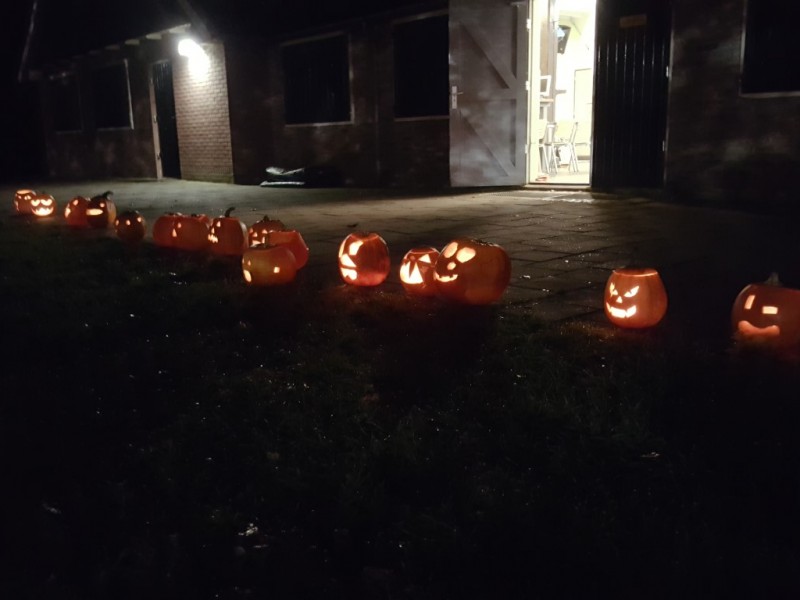20161028_215453-medium