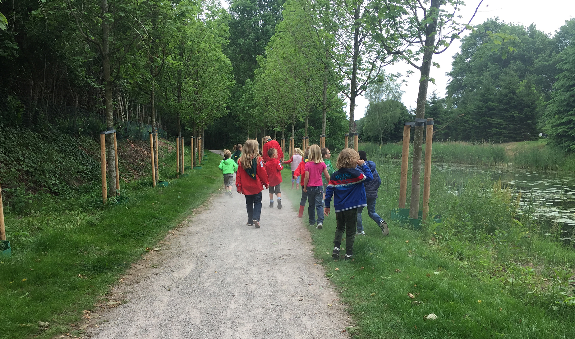 HJB Llanos | Bevers speurtocht