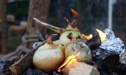 HJB Llanos | Scouts