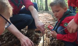 Beestjes zoeken - Bevers HJB Llanos