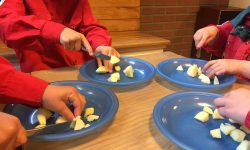 HJB Llanos | Bevers leren appelmoes maken