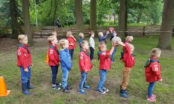 HJB Llanos | Bevers samenwerken