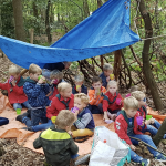 De bevers bouwen een hut in het bos!