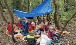 HJB Llanos | Bevers in het bos