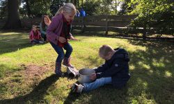 HJB Llanos | Bevers op reis