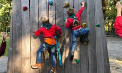 HJB Llanos | Bevers klimmen klimtoren