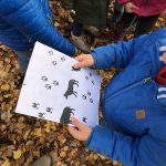 Bevers zoeken sporen van de wolf in het bos