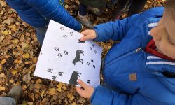 HJB Llanos | Bevers sporen zoeken