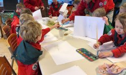 HJB Llanos | Bevers bladeren kleuren