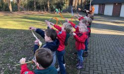 HJB Llanos | Bevers verschillende landen