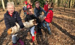 HJB Llanos | Bevers badge bos Stanley Stekker