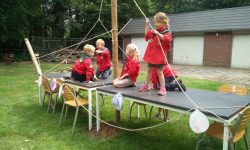 HJB Llanos | Vikingen bevers